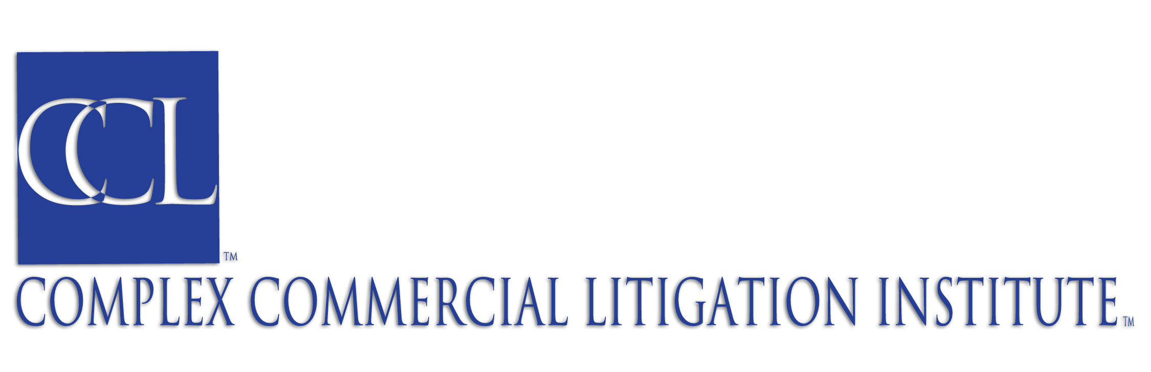 Complex Commercial Litigation Institute A